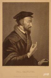 Calvin, Jean,  - , , , , Portrait, , Theophil Schuler p. -  F. Knolle sc.